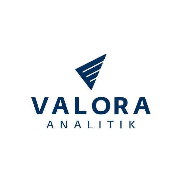 logotipo Valora Analitik