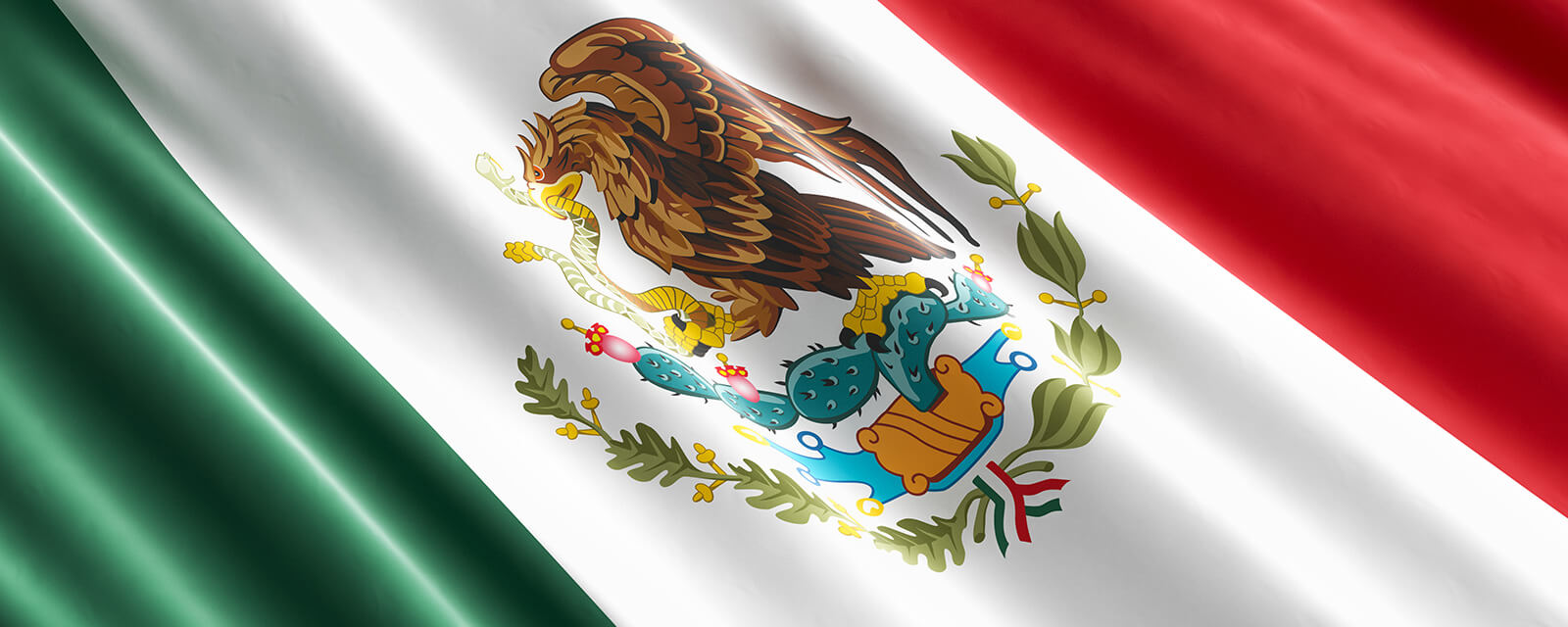 The Mexican Value Added Tax IVA System A General Overview Part I 