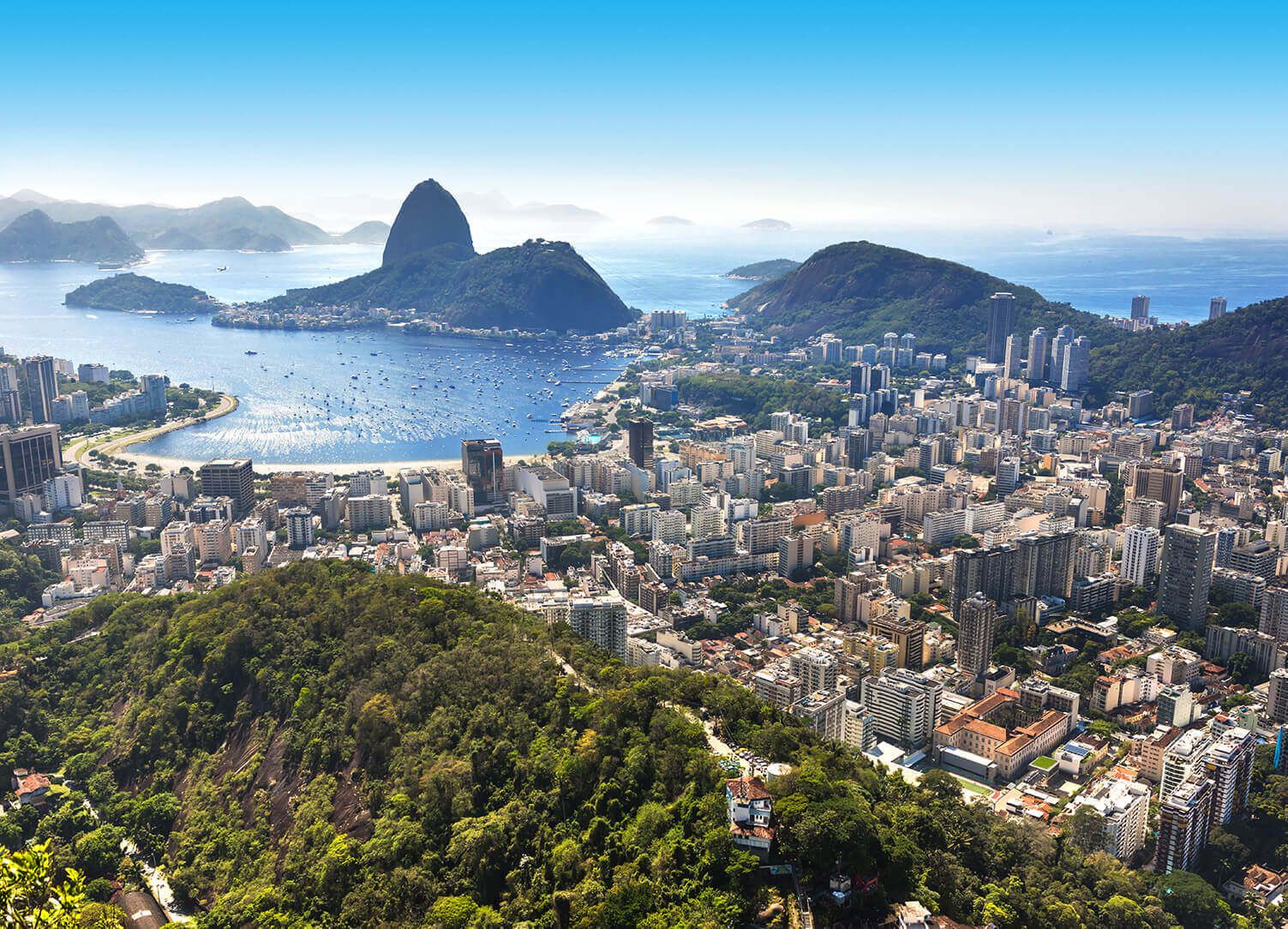 Rio de janeiro. Сан Паулу Рио де Жанейро. Рио де Жанейро залив Гуанабара крупным планом. Рио де Жанейро попугаи в городе. Рио де Жанейро 70.