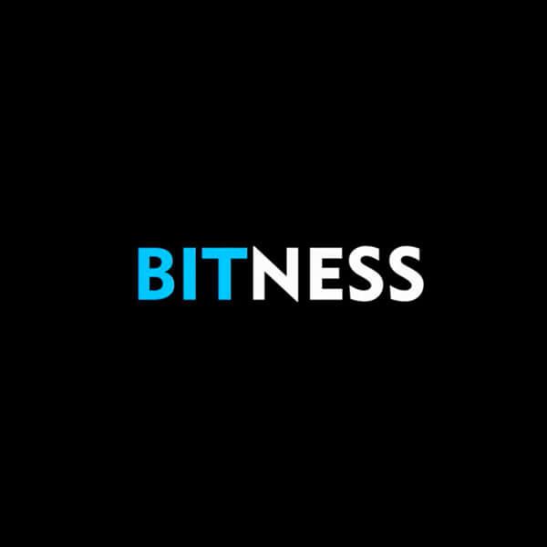 logotipo Bitness perú