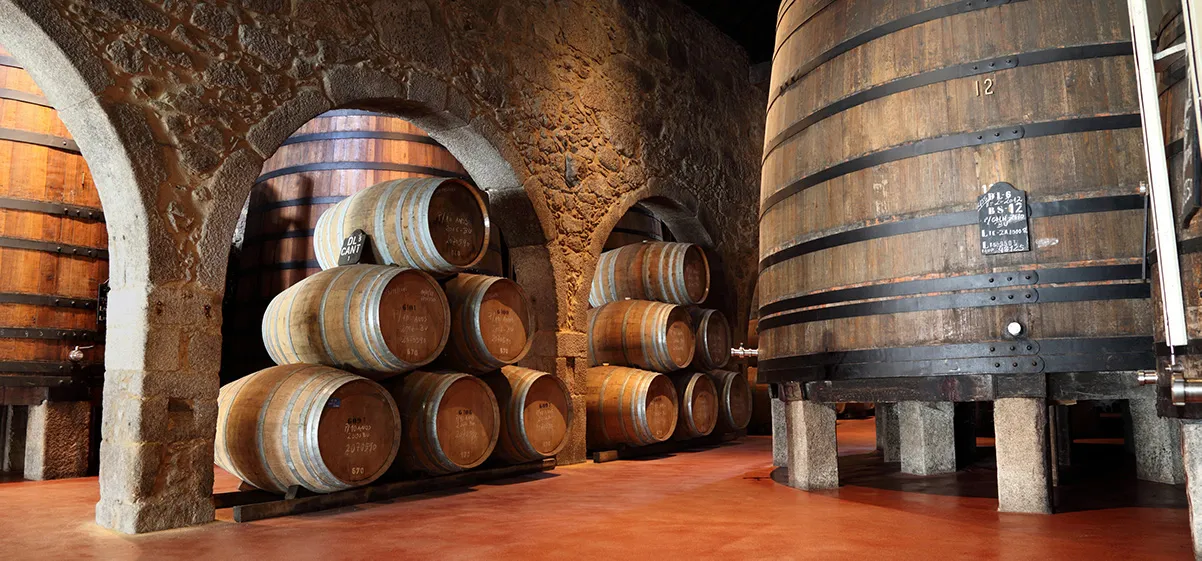 10-key-steps-to-expanding-your-winery's-footprint