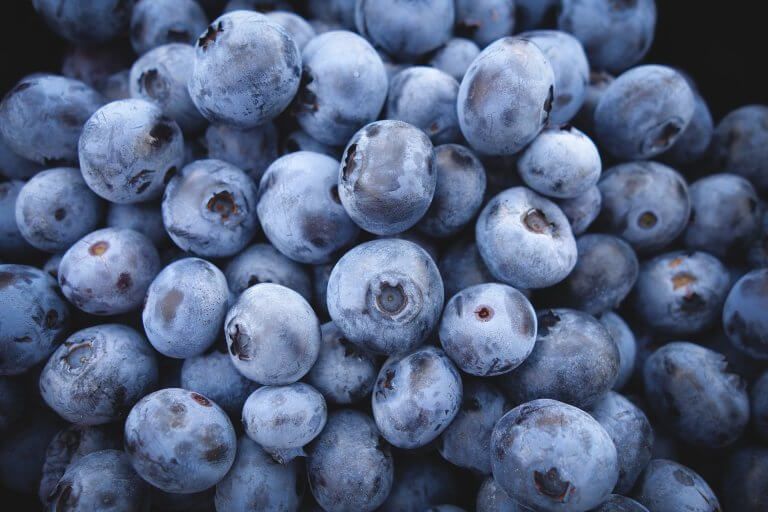 e-archiving blueberries