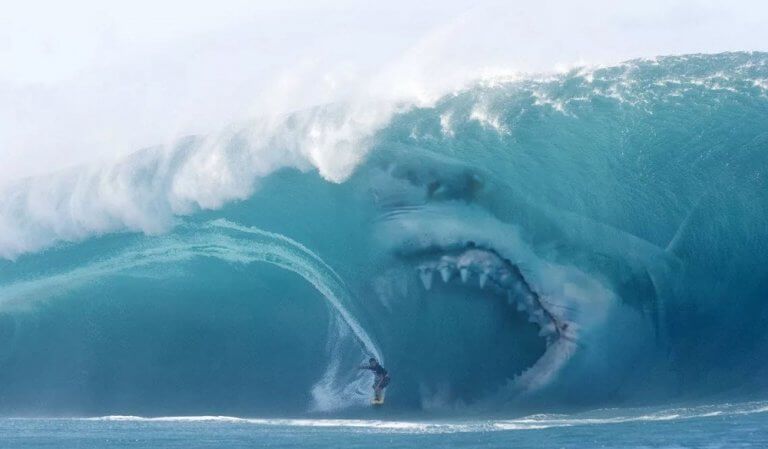 The Rising Tide of Digital Tax: Are You Surfer or Shark Bait?