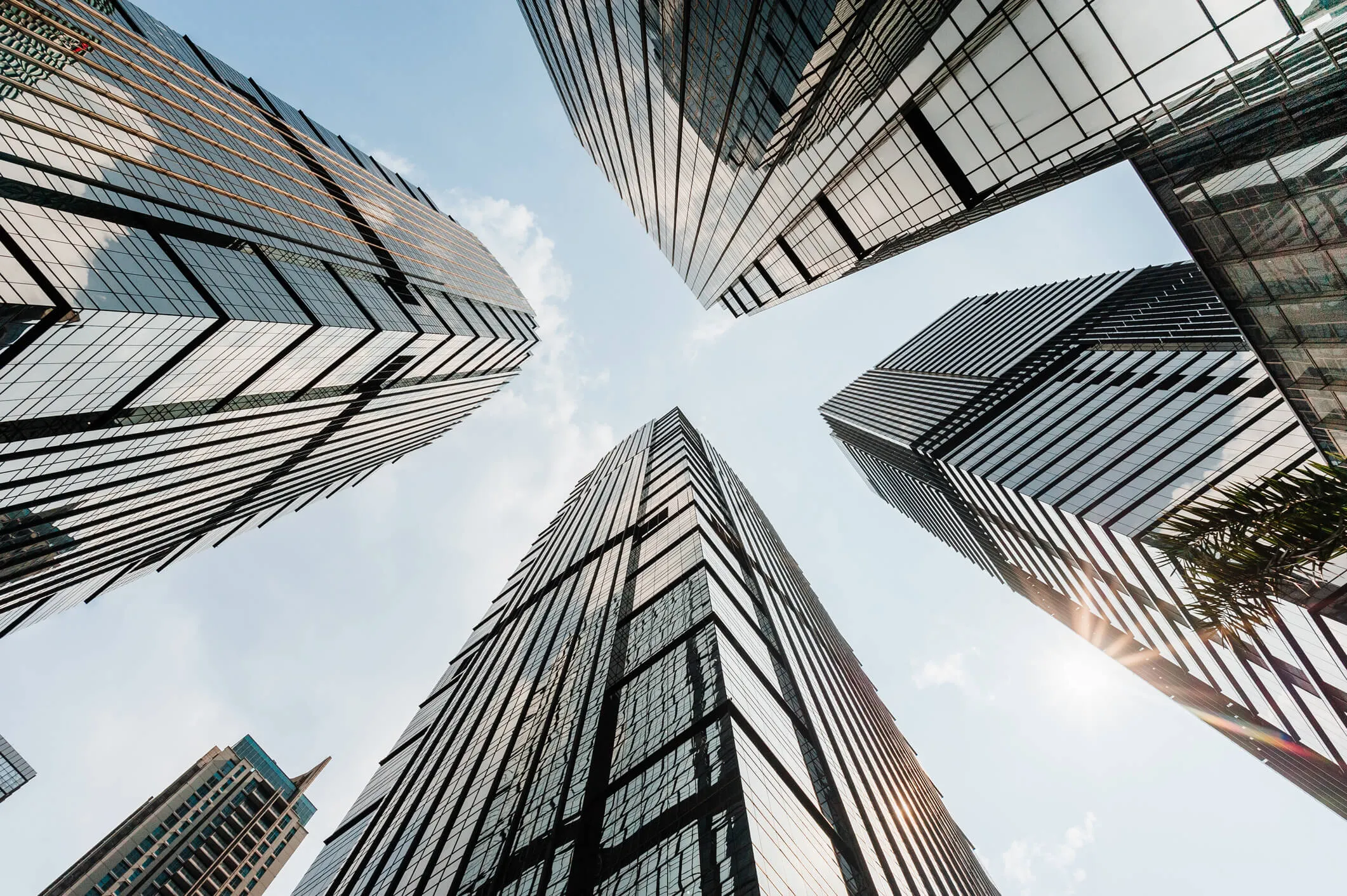 Calculate your direct and indirect tax compliance expenses Sovos